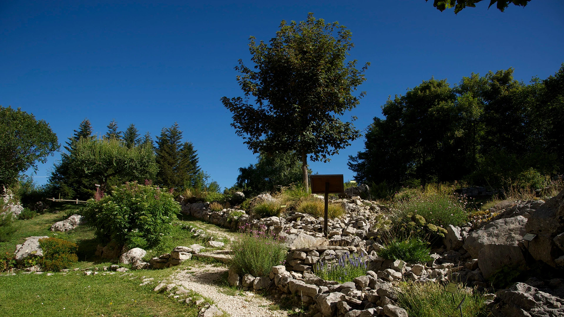 Capracotta ospita la prima edizione del Festival dell’Awen: fantasia, poesia e natura in un evento unico